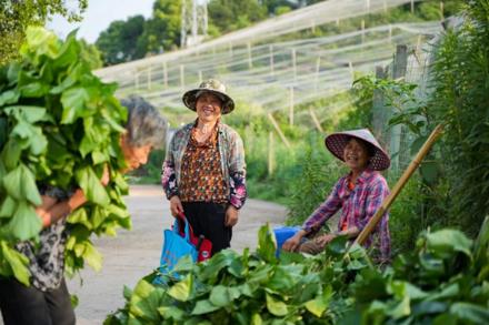 图片 2.png 图片 2.png